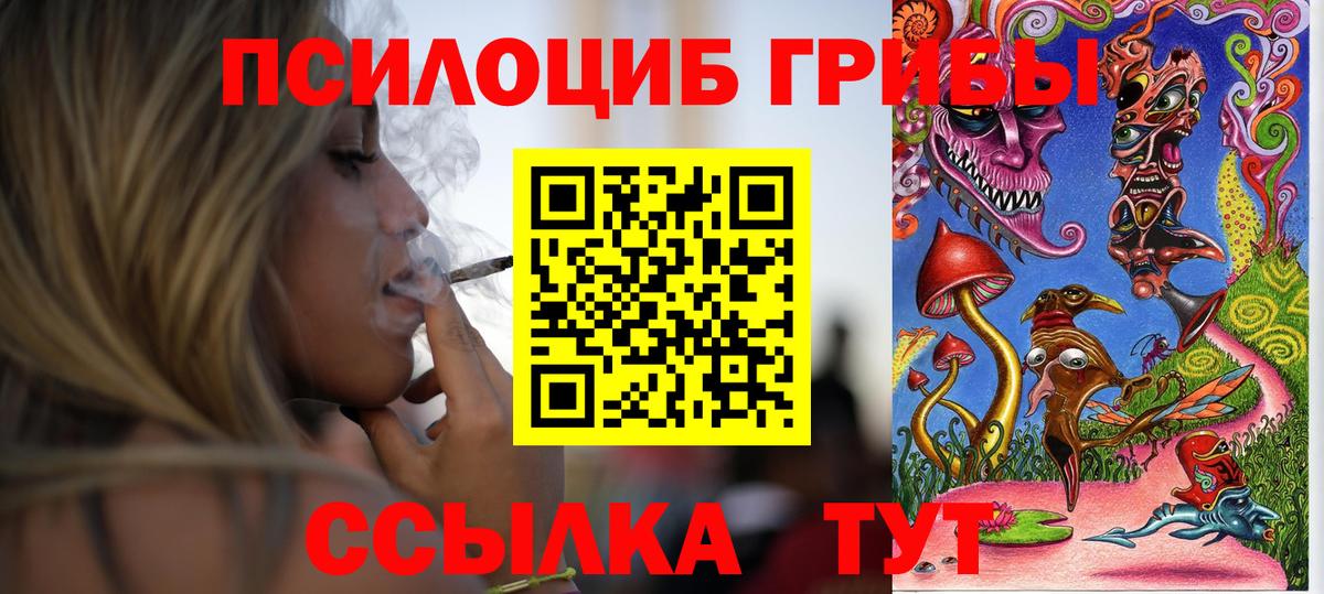 Галлюциногенные грибы мицелий  Псилоцибиновые грибы GOLDEN TEACHER  Химки  Вход с VPN 